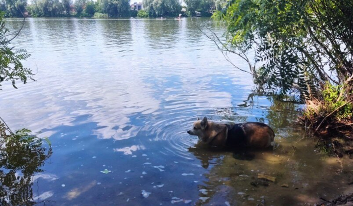 На картинці зображені хмари та гроза