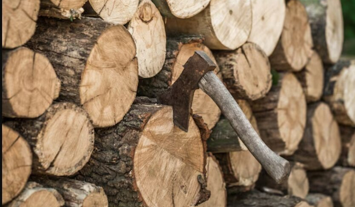 Пенсионер без света срубил дерево