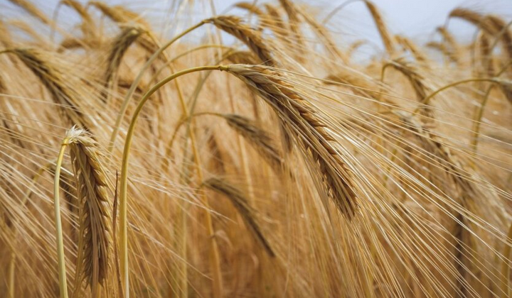 Фермери отримали підтримку у кредитуванні