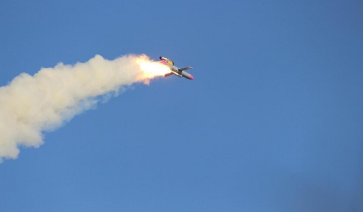 Photo of the Flamingo missile and FP-1 drones