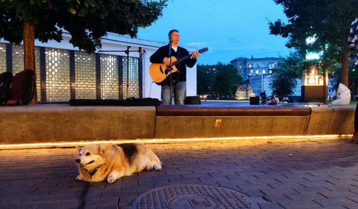 Прогноз погоди на Київщині