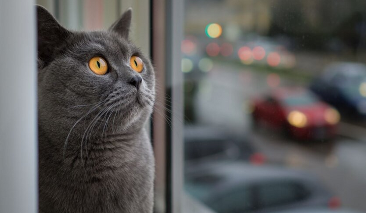 Діденко прогнозує пік тепла в Україні