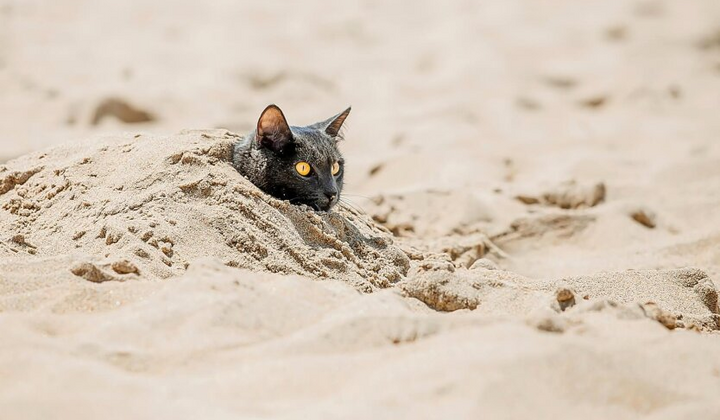 Прогноз погоды на Киевщине