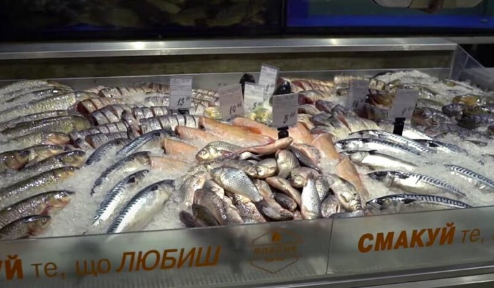 Fish on the shelves of Ukraine