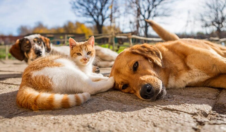 Опади та заморозки: погода України