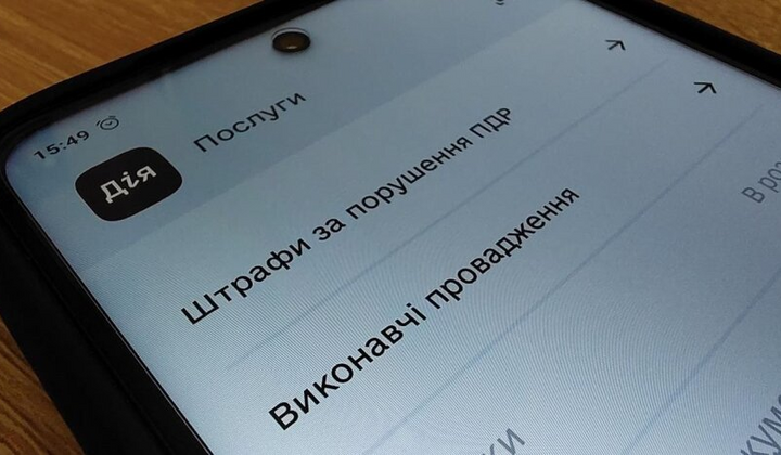 Функція перевірки порушень в Дія