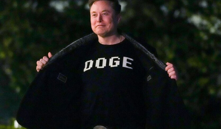 Суды США изучают статус DOGE Илона Маска