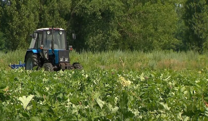 Фермери отримують євросубсидії та гранти
