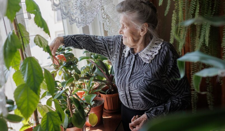 Курс рабочего или страхового стажа