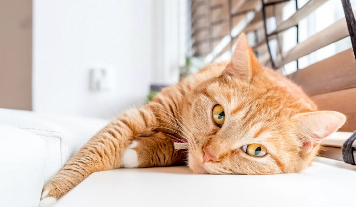 Синоптик Діденко попереджає про дощ