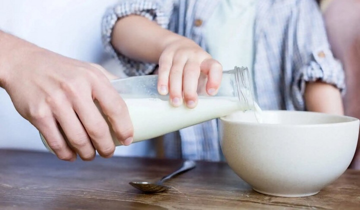 Корова на зеленому полі