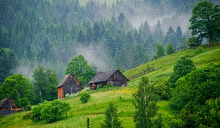 Град с яйцом и бананы в Украине
