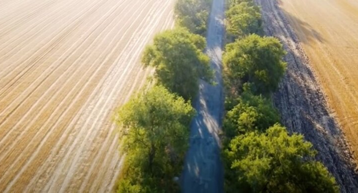 Люди беруть землю в оренду