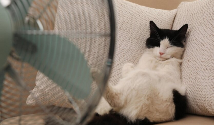 Антициклони впораються з погодою на Україні