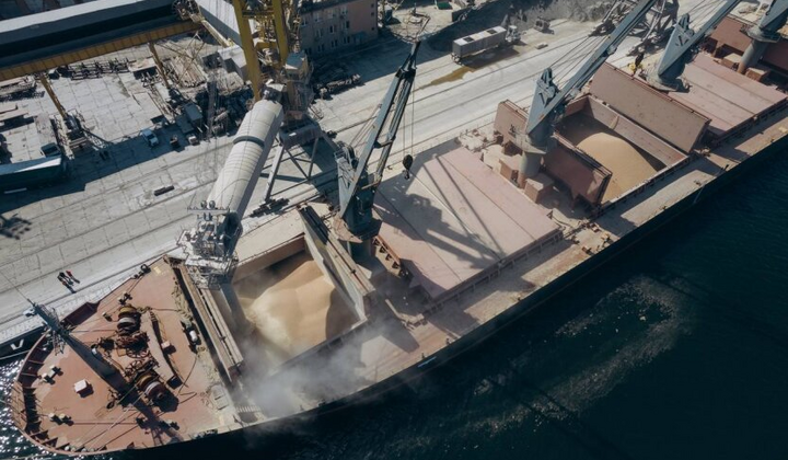 Морские порты Украины перевалили 6 млн т грузов