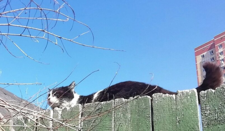 Синоптик Діденко прогнозує теплу погоду