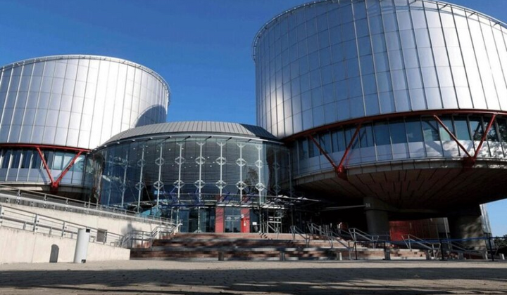 Графік ухвалених рішень Європейського суду