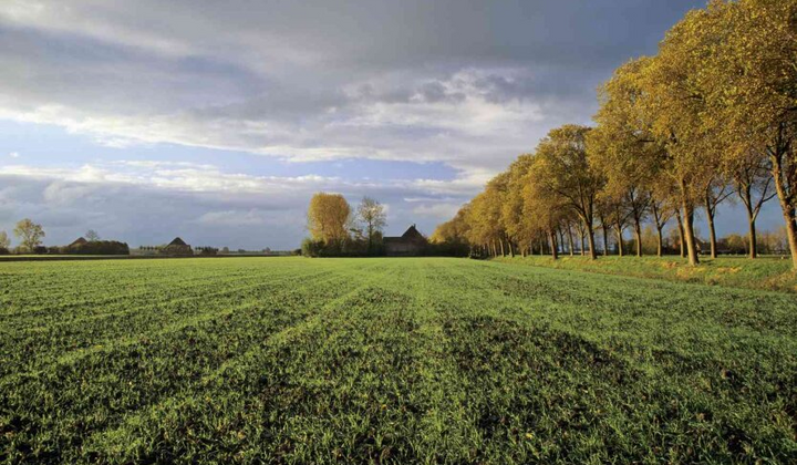 Присвоєння кадастрового номера на землю