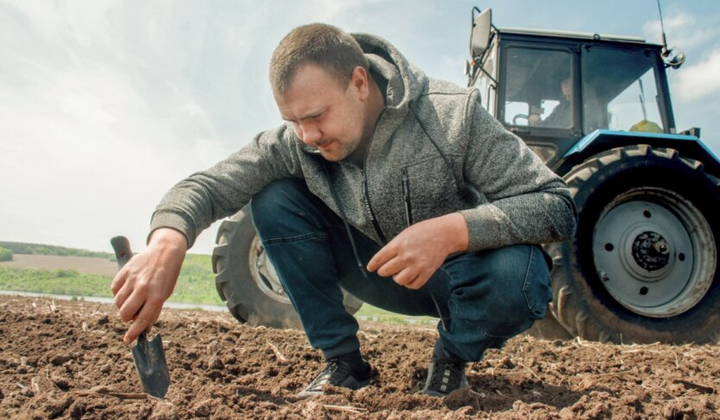 Цены на землю в украинских областях