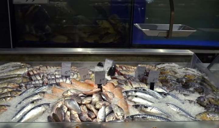 Fish in the Ukrainian market July prices