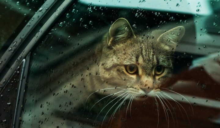 Forecaster Didenko warns about the troublesome atmospheric front