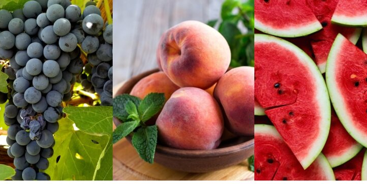 Свіжі кавуни та кукурудза на ринках