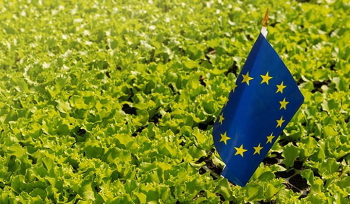 Тарифи на імпорт з України можуть зрости