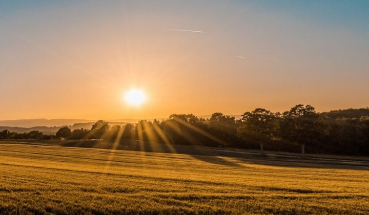 Власники зруйнованої нерухомості отримують землю
