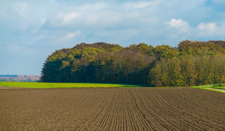 Зруйновані поля внаслідок війни в Україні