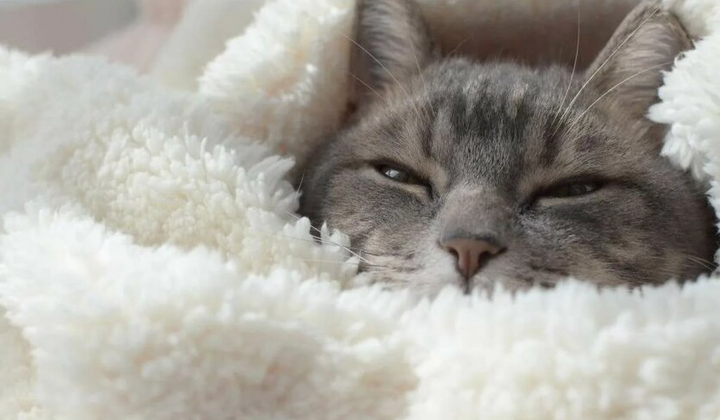 Попередження про сніг, дощ та ожеледь