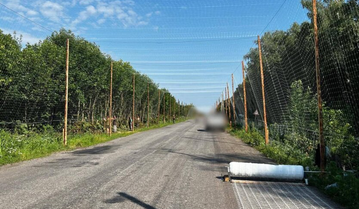 Окупанти нищать антидронові сітки на Покровському напрямку