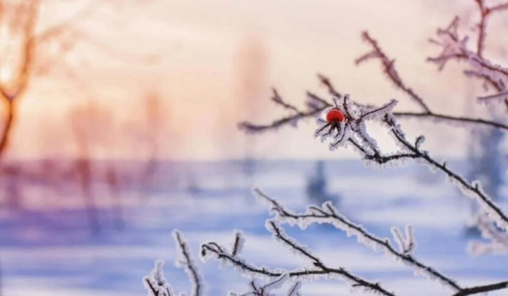 Заснеженный город с весенним настроением