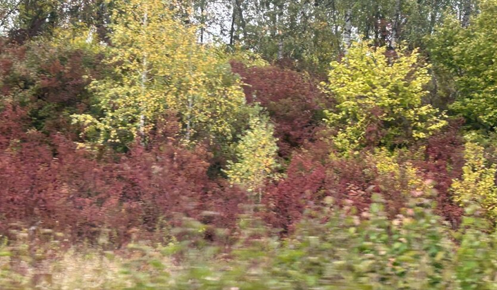 Діденко говорить про падіння температури