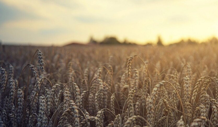 Ініціатива 