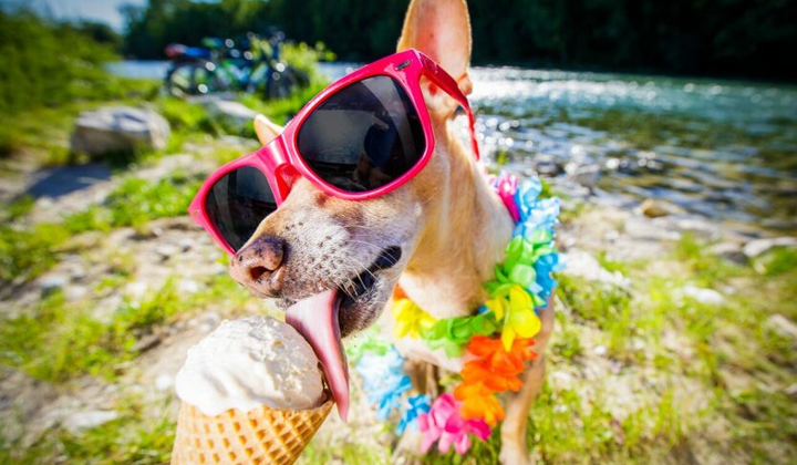 Розслаблятися не варто: літо після аномальної весни