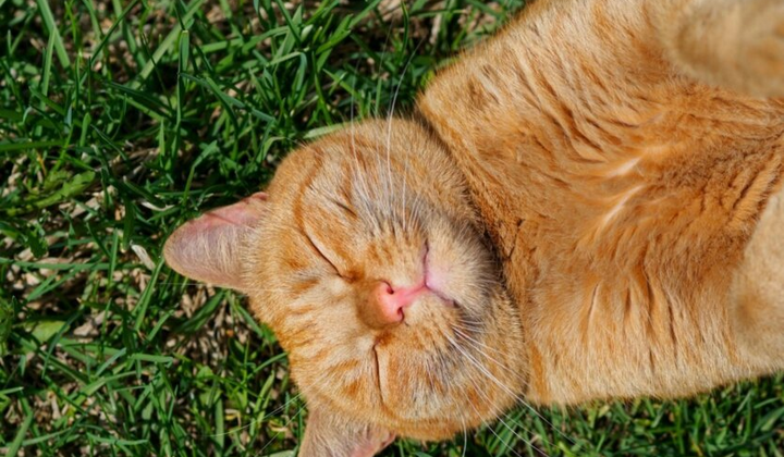 Гроза над містом в Україні