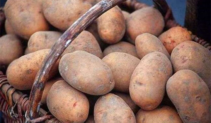 Картофель - повышение цен, как изменилась