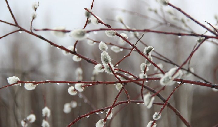 Сонячні промені і термометр