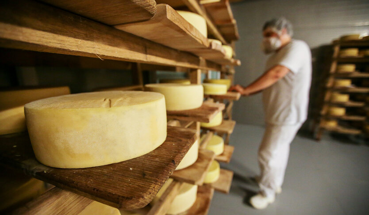 Українські сири на прилавках ізникають: причина