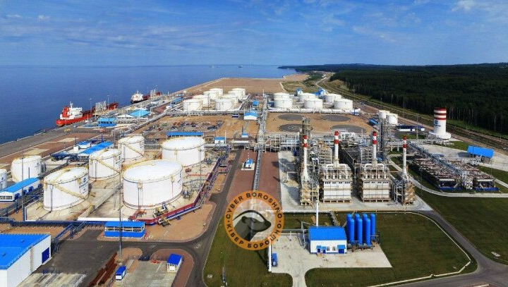 Дрони атакують порт Усть-Луга