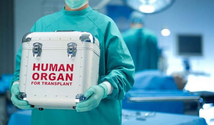 МОЗ підрахувало трансплантації органів в Україні