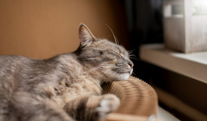 Прогноз погоды на октябрь в Украине