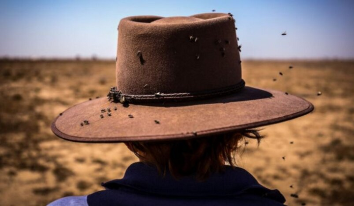 Новые паразиты и смещение сезонов: угроза от потепления в Украине