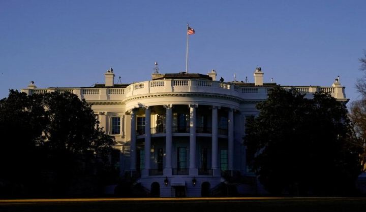 Дональд Трамп и Владимир Путин
