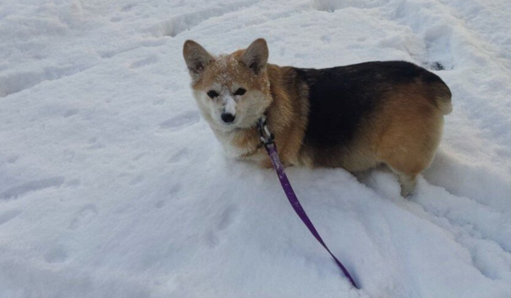 Машина на льоду взимку