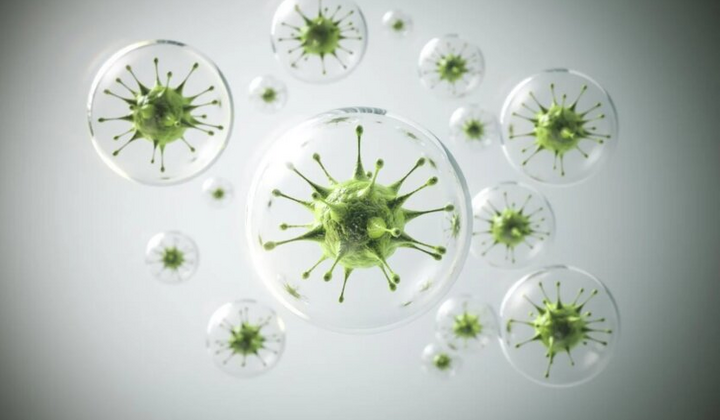 Вспышка опасного вируса в Украине