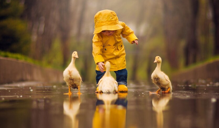 Карта наступления холодов и дождей