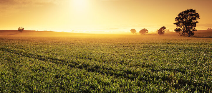 Битва за гектары на аукционах