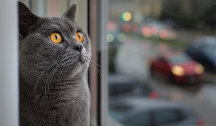 Синоптик Діденко попереджає про різкі зміни погоди