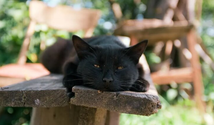 Жёлтый уровень опасности: жителей Киевщины предупредили о непогоде